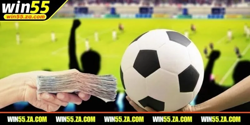 Cá cược thể thao WIN55 trải nghiệm trận đấu ấn tượng